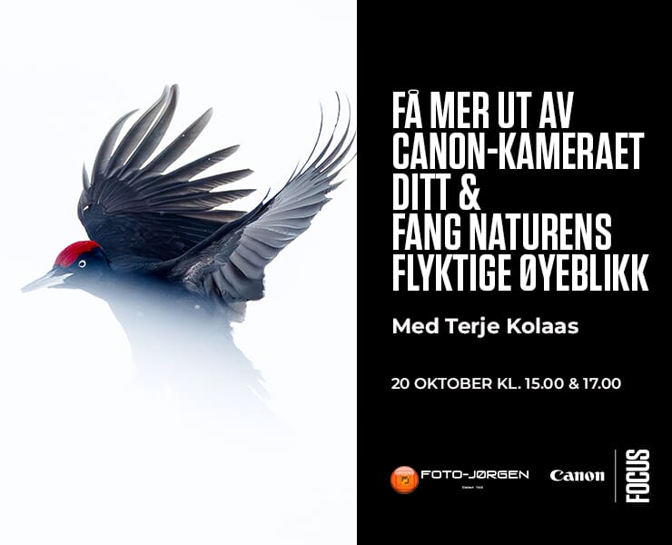 "KL-15&17-Terje-Kolaas-740x600px.jpg"