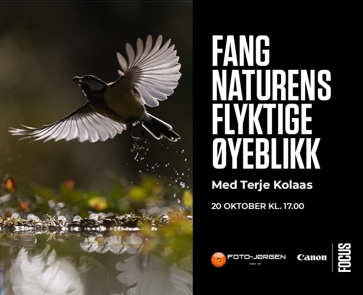 "KL-17-Terje-Kolaas-740x600px.jpg"
