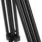 6952060025513_Rel 12_117400.png
