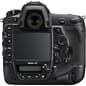 01828946983_Rel Nikon_D5_02.jpg