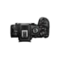 03_EOS R6 MkIII_top_BODY.jpg