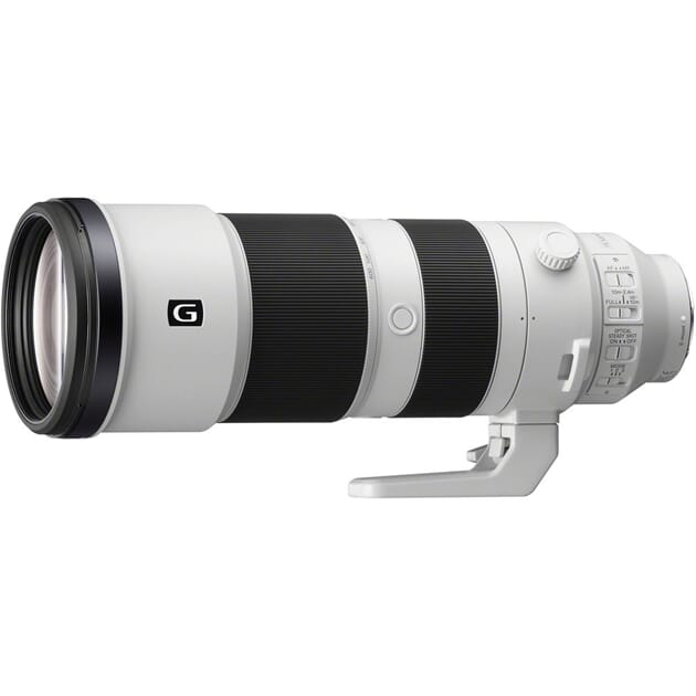2020000352 Sony FE 200-600mm f5,6-6,3 G OSS 01.jpg