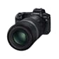 2020000505_Rel Canon RF 600mm f11 is STM3.jpeg
