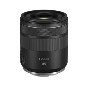 Canon RF 85mm f/2 Macro IS STM
