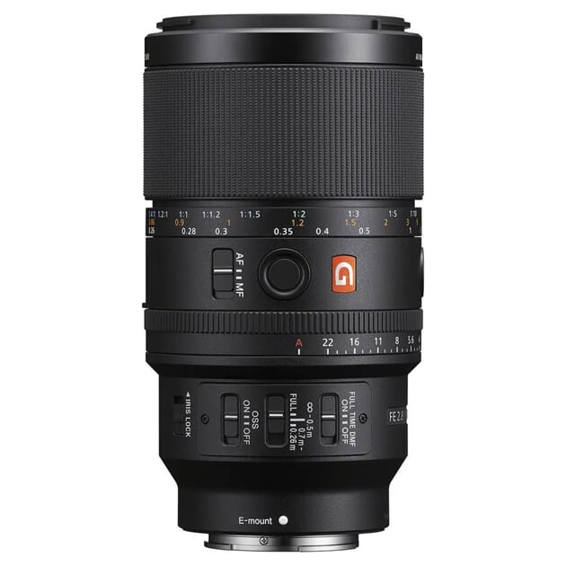 Sony FE 100mm Macro 1.jpg