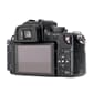 untitled shoot-004_3.JPG