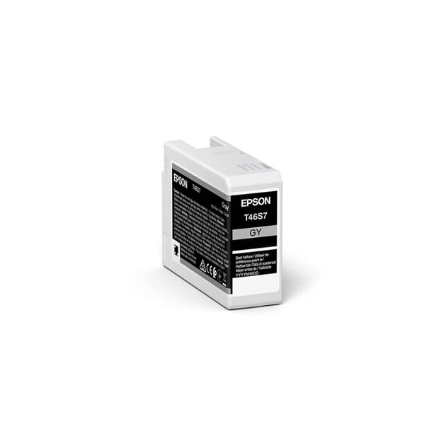 8715946680880 Epson Ink P700 Gray 25ml T46S7_1.jpg