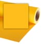 5060101580189_Rel Colorama Buttercup 1.jpg
