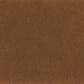 887827004189_Rel Lastolite Conker.jpg