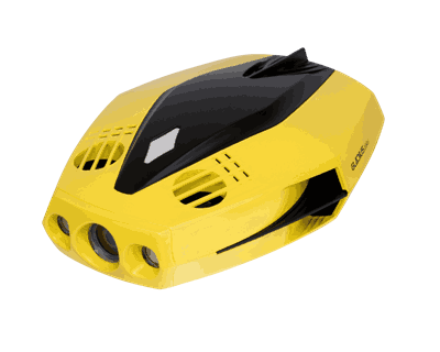 6971636380146 Chasing Dory1_1.png