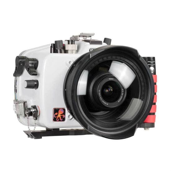 nikon d750 dl ikelite undervannshus