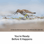 English_VX8049_Carousel_2000x2000px_Tile 07.png