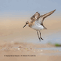 English_VX8049_Carousel_2000x2000px_Tile 12.png