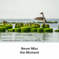 English_VX8050_Carousel_2000x2000px_Tile 06.png