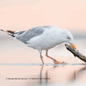 English_VX8050_Carousel_2000x2000px_Tile 12.png