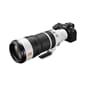 Sony FE 100-400mm F4.5 GM OSS (4).jpg