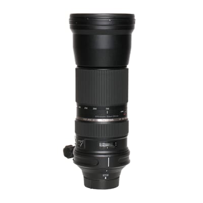 untitled shoot-016_6.JPG