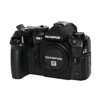 untitled shoot-022_5.JPG