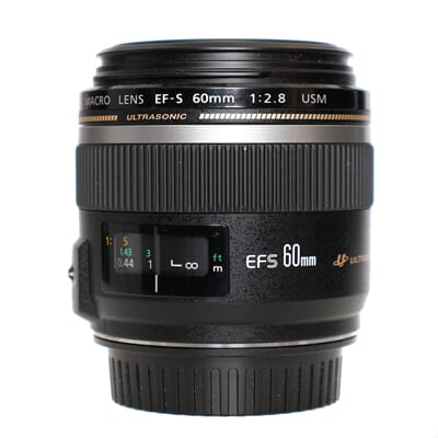 untitled shoot-029_1.JPG