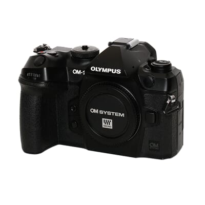 untitled shoot-030_5.JPG